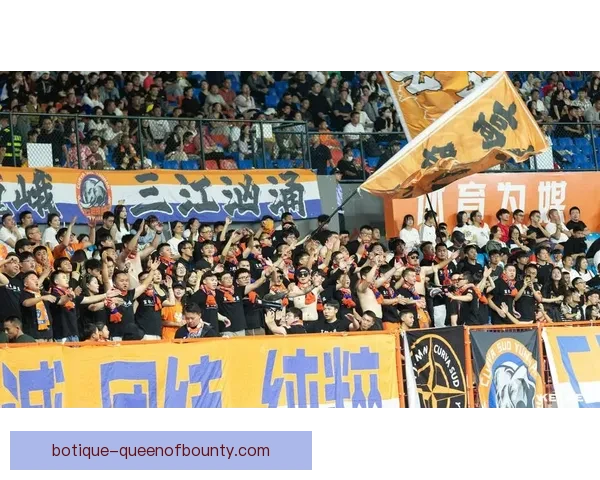 2026世界杯官方宣布将在全球多国设立球迷嘉年华现场为球迷带来全新体验